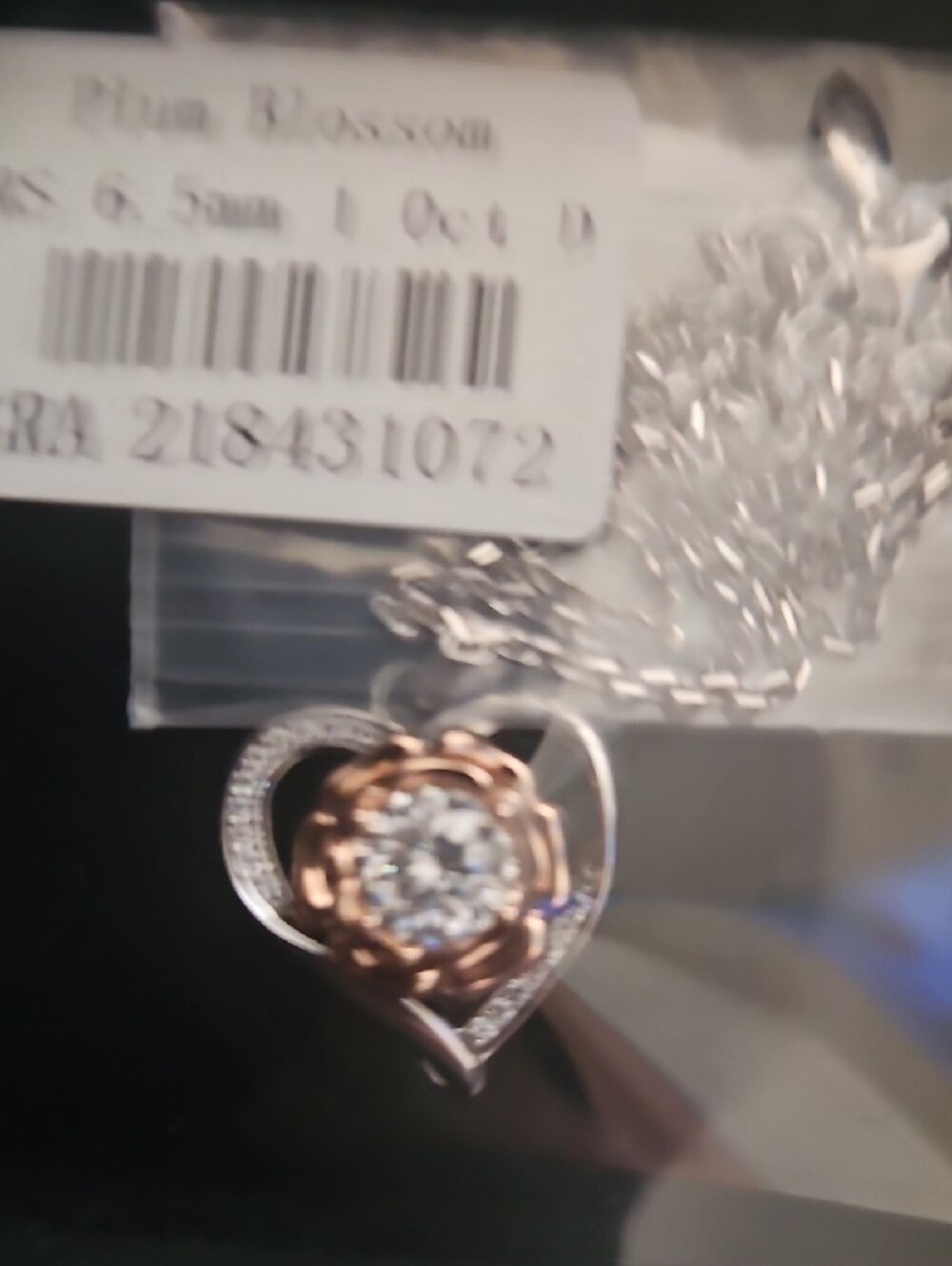 Rose Gold and Silver Heart Pendant Necklace